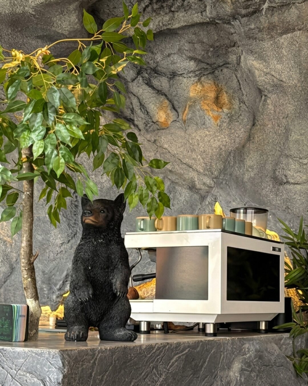 El oso cuida la barra 🐻
