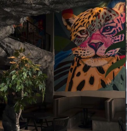 La cueva y su jaguar 🪨
